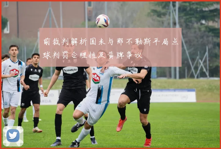 前裁判解析国米与那不勒斯平局点球判罚合理性及黄牌争议