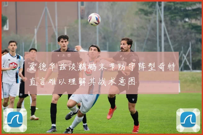 爱德华兹谈鹈鹕末节防守阵型奇特直言难以理解其战术意图